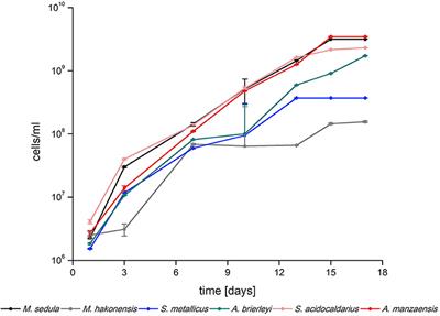 Thermoacidophilic Bioleaching of Industrial Metallic Steel Waste Product